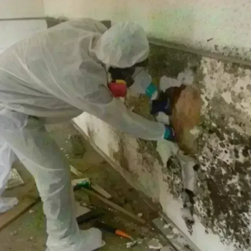 Mold Remediation and Removal in Clintonville, WI