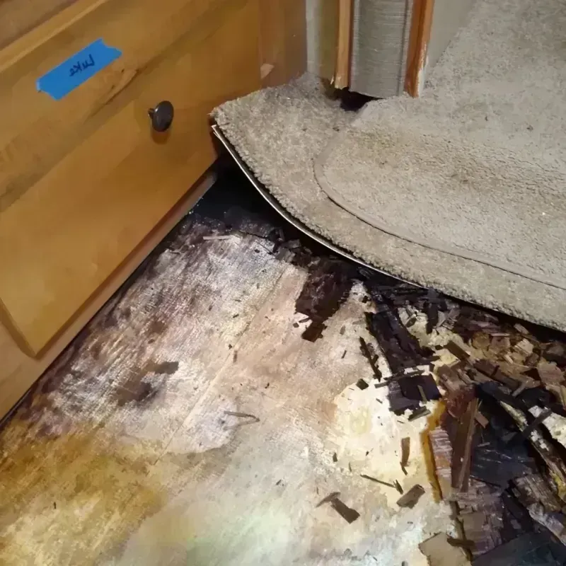 Wood Floor Water Damage in Clintonville, WI